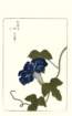 photo58_small.jpg