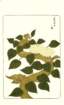 photo63_small.jpg