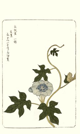 photo64.jpg