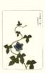 photo65_small.jpg