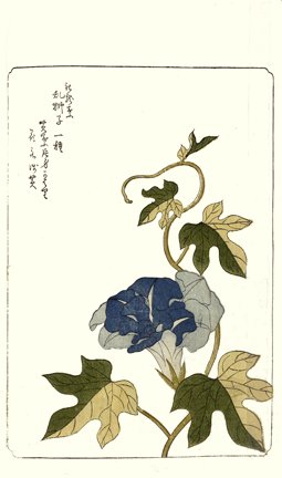 photo66.jpg