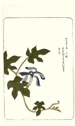 photo67.jpg