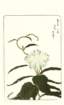 photo69_small.jpg