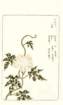 photo70_small.jpg