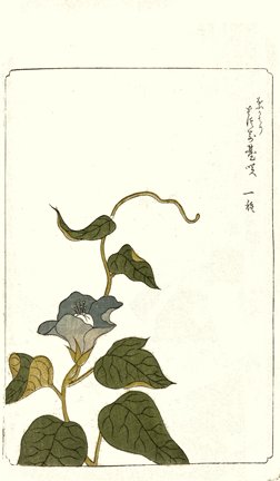 photo72.jpg