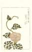photo73_small.jpg