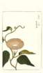 photo74_small.jpg