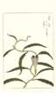 photo75_small.jpg