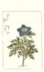 photo77_small.jpg