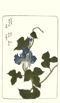 photo78.jpg