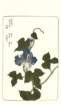 photo78_small.jpg