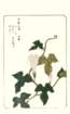 photo7_small.jpg