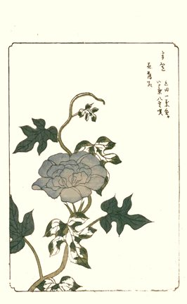 photo8.jpg