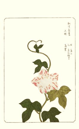 photo80.jpg