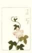 photo80_small.jpg