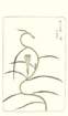 photo84_small.jpg