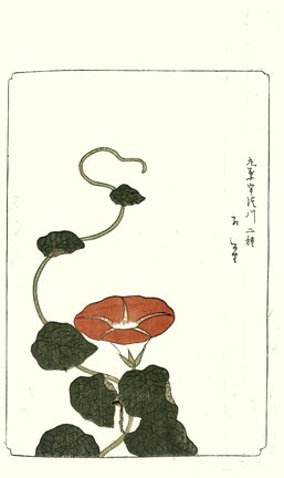 photo86.jpg