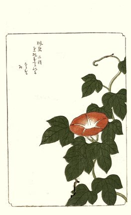 photo87.jpg