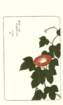 photo87_small.jpg