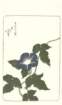 photo88_small.jpg