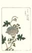 photo8_small.jpg