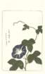 photo92_small.jpg