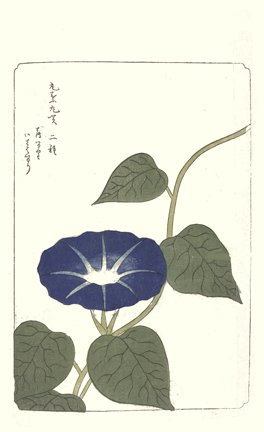 photo98.jpg