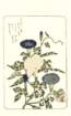 photo9_small.jpg