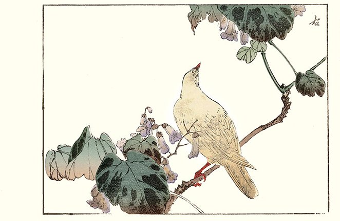 photo10.jpg