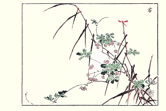 photo14.jpg