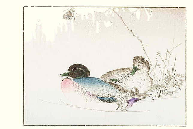 photo23.jpg