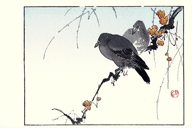 photo28.jpg