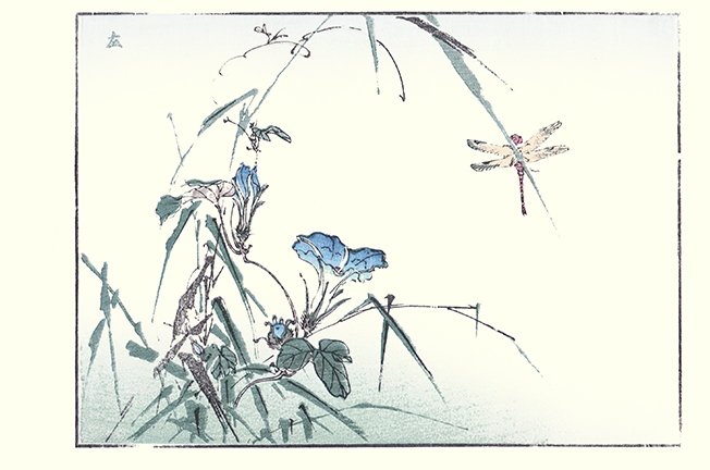 photo35.jpg
