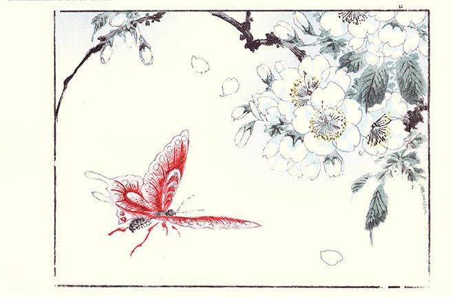 photo39.jpg