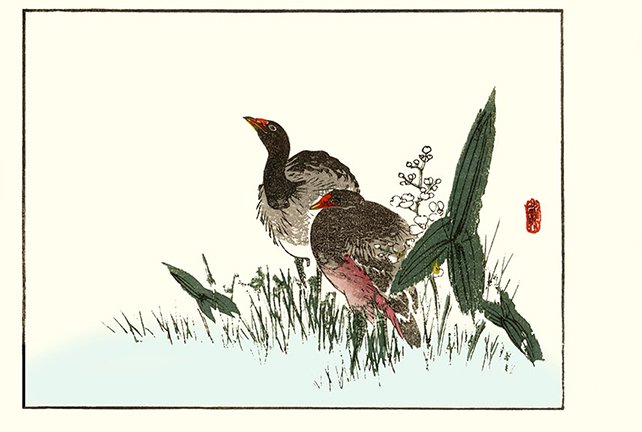 photo10.jpg