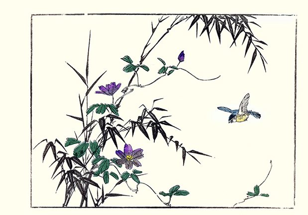 photo16.jpg