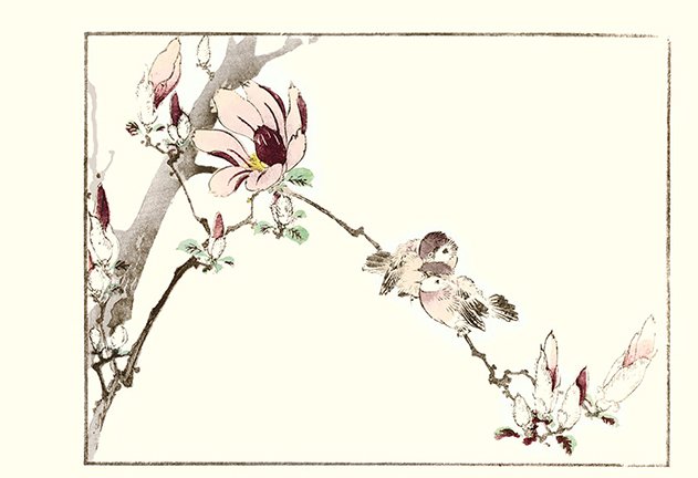 photo23.jpg