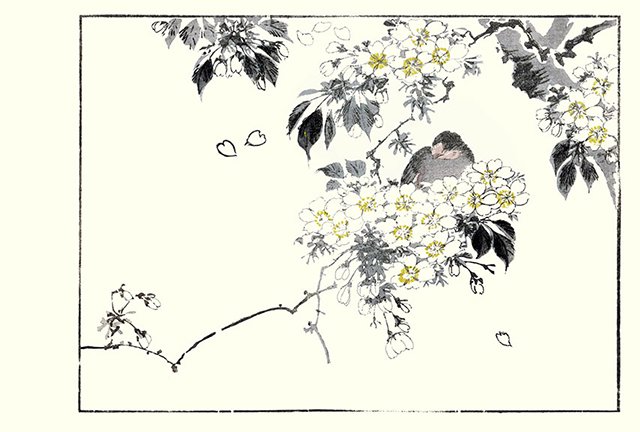 photo7.jpg