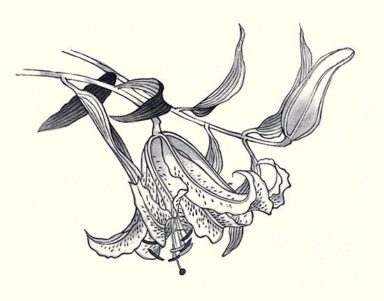 photo10.jpg