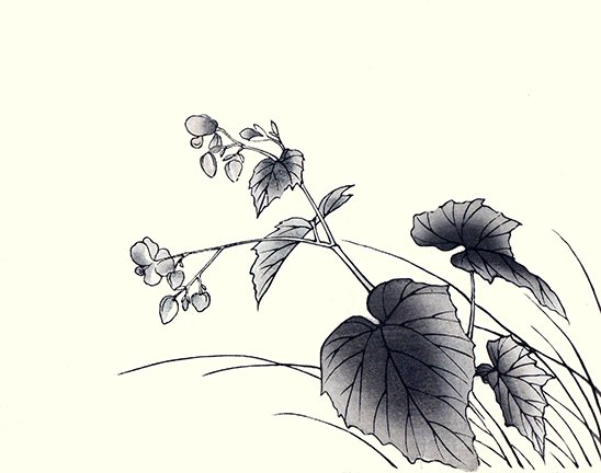 photo12.jpg