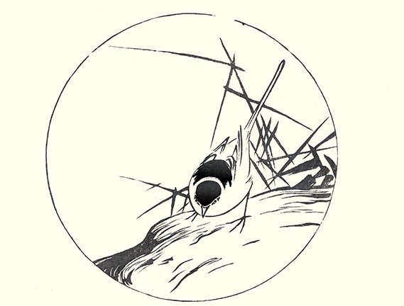photo16.jpg