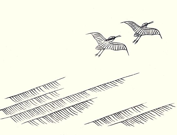 photo19.jpg