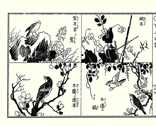 photo20.jpg