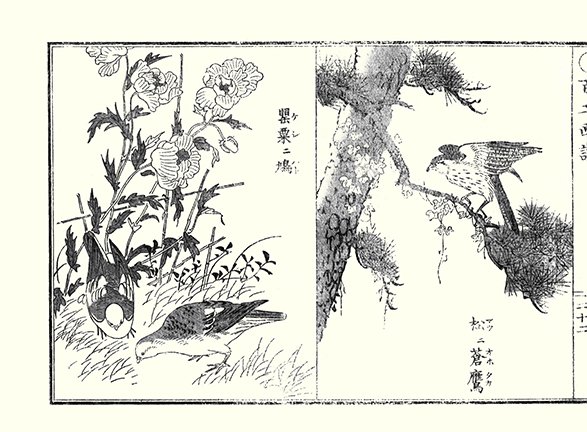 photo22.jpg