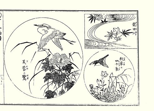 photo25.jpg