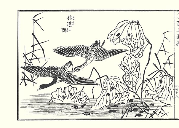 photo48.jpg
