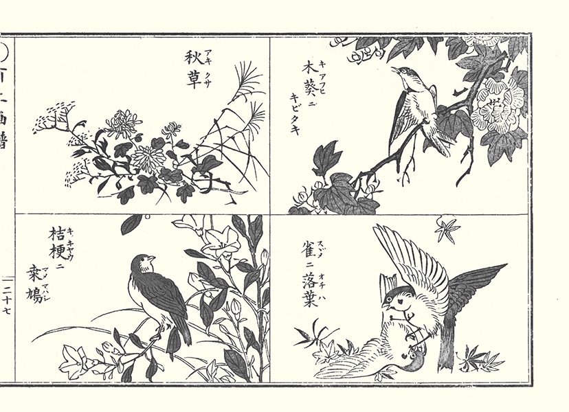 photo27.jpg