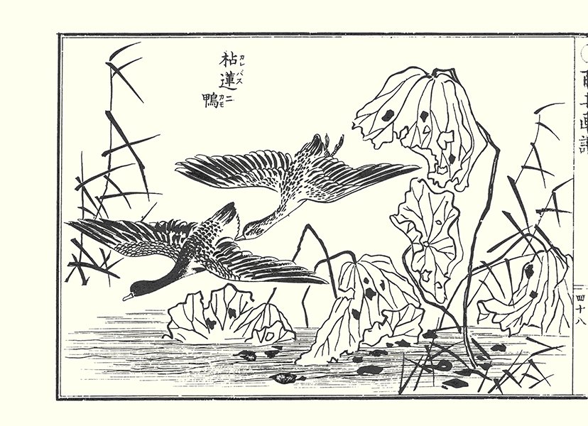 photo48.jpg