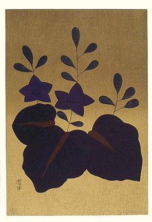 photo6.jpg