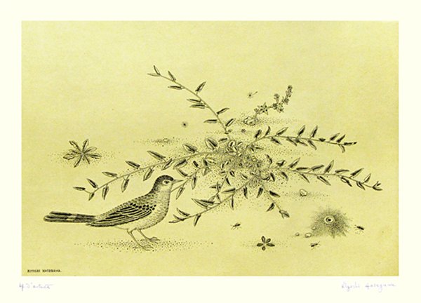 photo22.jpg